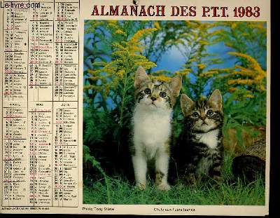 CALENDRIER - ALMANACH DES P.T.T. - CHATONS ATTENTIFS -