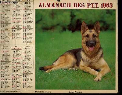CALENDRIER - ALMANACH DES P.T.T. - BERGER ALLEMAND - FOX TERRIER A POIL LISSE