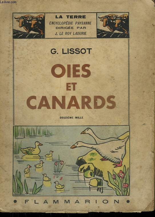 OIES ET CANARDS. COLLECTION : LA TERRE