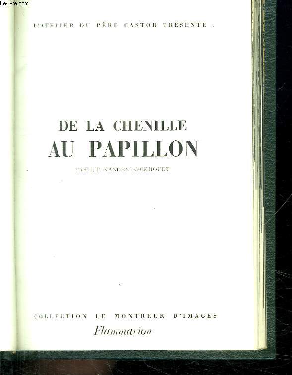 L ATELIER DU PERE CASTOR PRESENTE : DE LA CHENILLE AU PAPILLON.