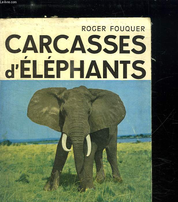 CARCASSES D ELEPHANTS.