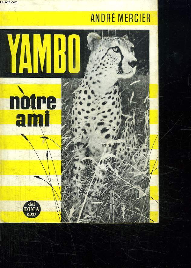 YAMBO NOTRE AMI.