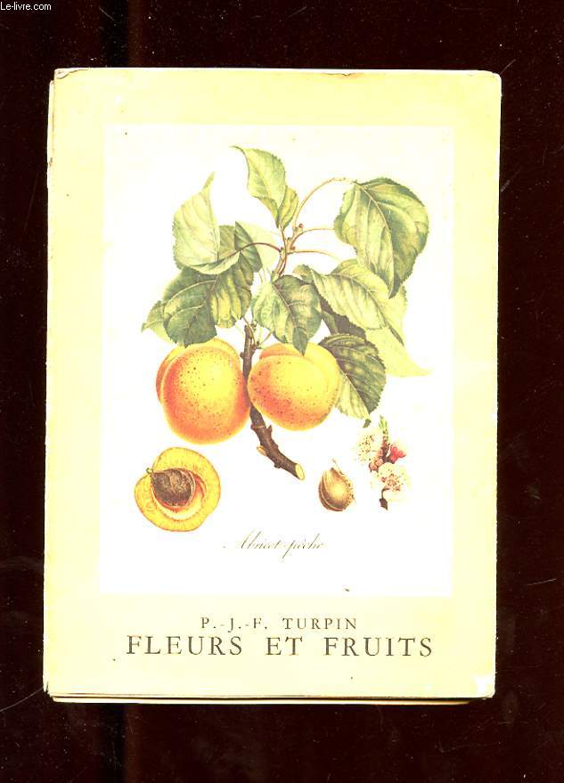 FLEURS ET FRUITS