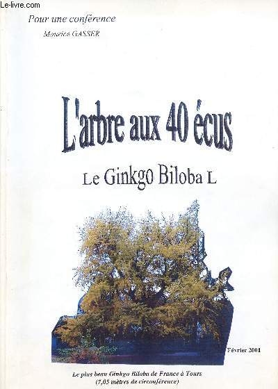 L'ARBRE AUX 40 ECUS - LE GINKGO BILOBA L - FEVRIER 2001 - LE PLUS BEAU GINKGO BILOBA D FRANCE A TOURS (7,05 mtres de circonfrence)