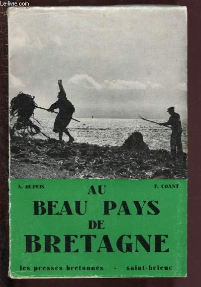 AU BEAU PAYS DE BRETAGNE : Anthologie gographique, historique et littraire avec illustrations et dessins
