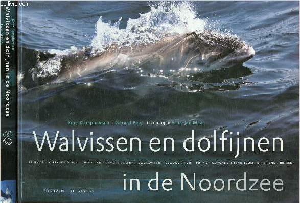 Walvissen en dolfijnen in de Noordzee