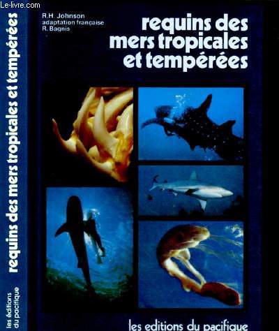 Requins des mers tropicales et tempres