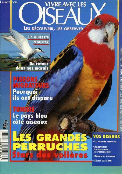 Vivre avec les Oiseaux n36 - Octobre / Novembre 1999 : Pigeons migrateurs : pourquoi ils ont disparus - Les grandes Perruches, stars des volires - La perdrix grise, la guifette moustac, la glinotte des bois, le pigeon migrateur amricain,etc.
