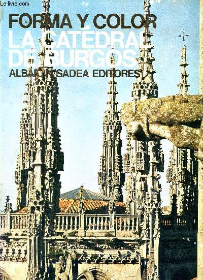 Forma y color - Los grandes ciclos del Arte - La catedral de Burgos - 22