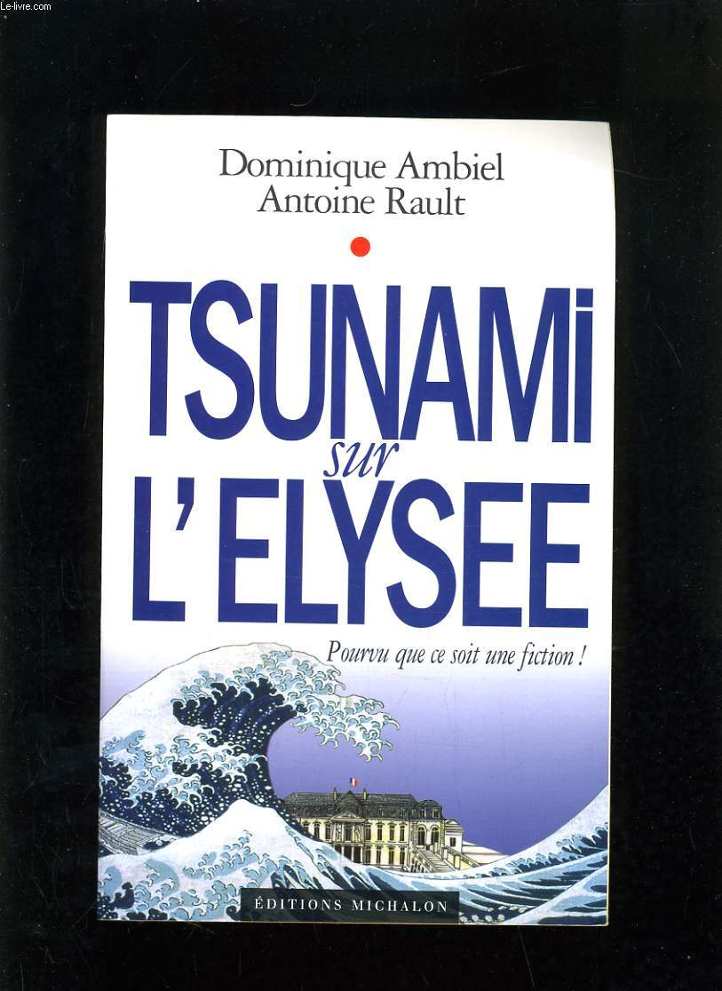TSUNAMI SUR L'ELYSEE - POURVU QUE CE SOIT UNE FICTION