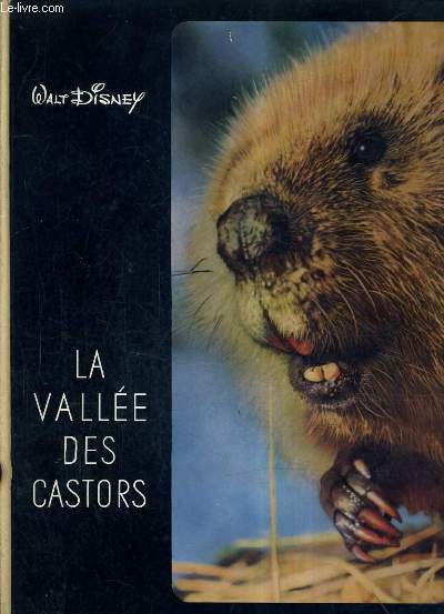 LA VALLEE DES CASTORS / WALT DISNEY.