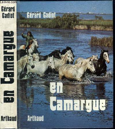 EN CAMARGUE - Taureaux, chevaux et gardians