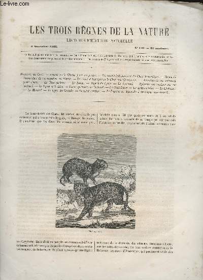 Les trois rgnes de la nature - Lectures d'histoire naturelle n149 - 3 novembre 1866 - Le chat