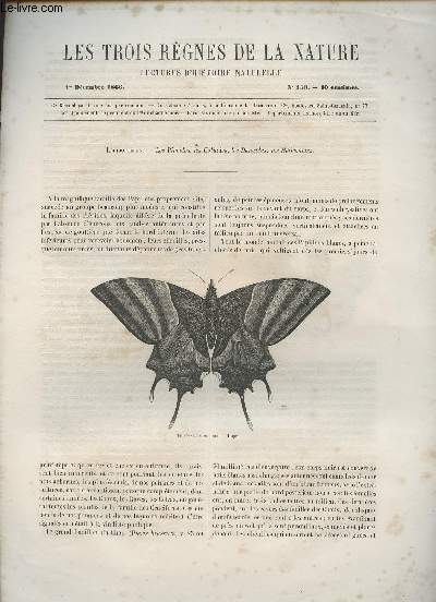 Les trois rgnes de la nature - Lectures d'histoire naturelle n153 - 1er dcembre 1866 - Lpidoptres - Les pirides, les coliades, les danades, les hliconides