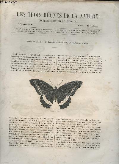 Les trois rgnes de la nature - Lectures d'histoire naturelle n154 - 8 dcembre 1866 - Lpidoptres (suite) - Les Danades, les hliconides, les vanesses, les mtites - Les Ptrels