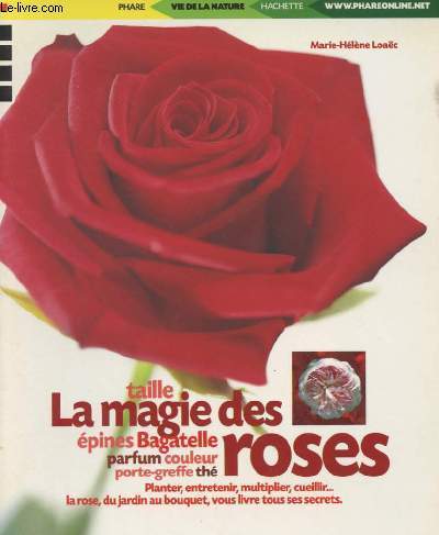 La magie des roses - Taille, porte-greffe, couleur, th, parfum, pines, Bagatelle