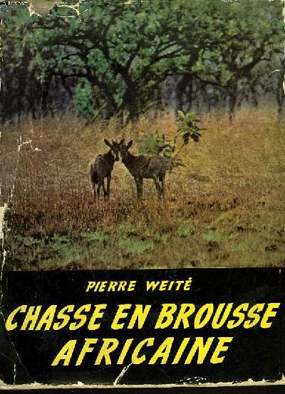 CHASSE EN BROUSSE AFRICAINE