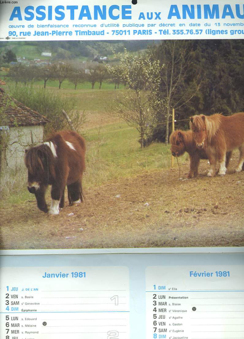 CALENDRIER 1981. LA VOIX DES BTES, ORGANE OFFICIEL D'ASISTANCE AUX ANIMAUX, NUMERO SPECIAL ASSISTANCE AUX ANIMAUX.