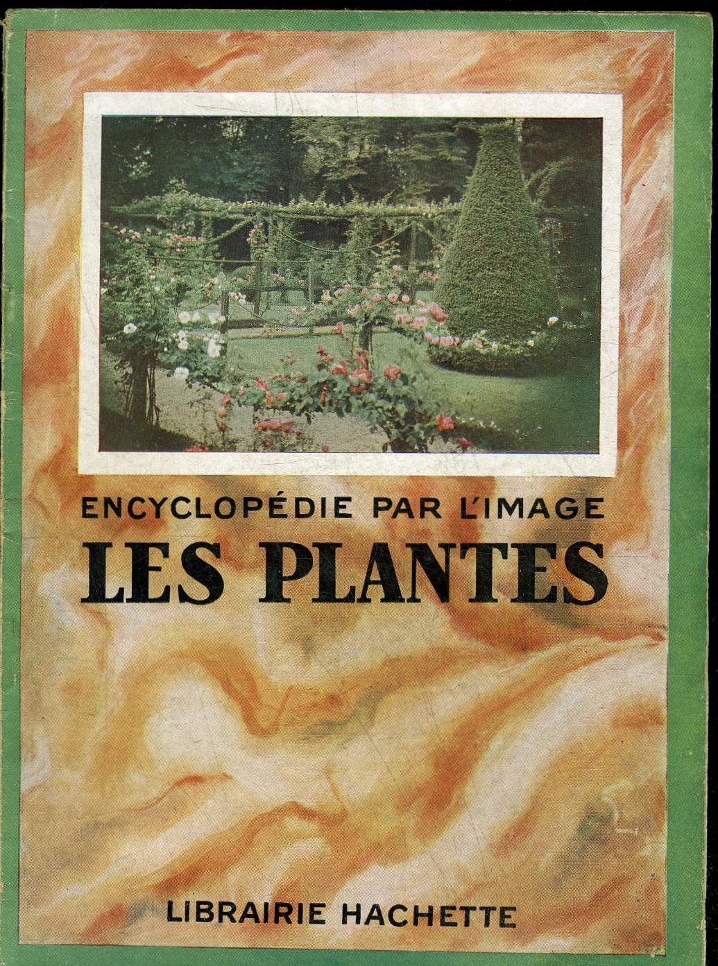 ENCYCLOPEDIE PAR L'IMAGE - LES PLANTES