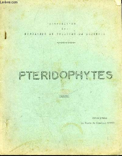 PTERIDOPHYTES - PLANCHES