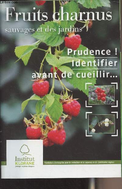 Fruits charnus sauvages & des jardins - Prudence ! identifier avant de cueillir