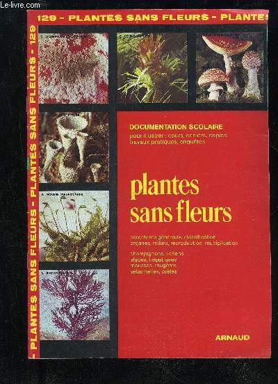 PLANTES SANS FLEURS - IMAGES ENCYCLOPEDIE N129