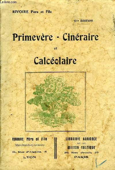 PRIMEVERE CINERAIRE ET CALCEOLAIRE - 6E EDITION.