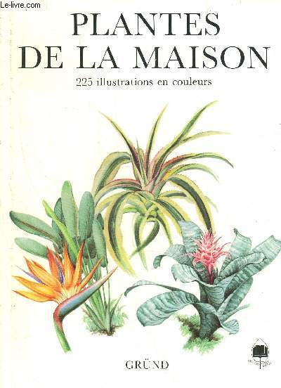 PLANTES DE LA MAISON
