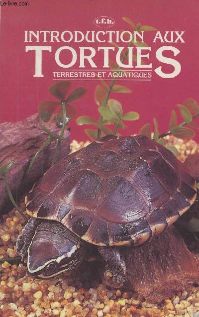 Introduction aux tortues, terrestres et aquatiques