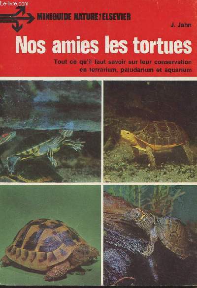 Nos amies les tortues - 