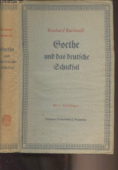 Goethe und das deutsche Schicksal (Grundlinien einer lebensgeschichte)