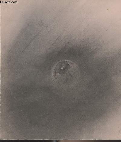 Soleil d'encre, manuscrit et dessins de Victor Hugo - (Exposition organise par la Bibliothque nationale et la Ville de Paris - Muse du Petit Palais, 3 octobre 1985-5 janvier 1986