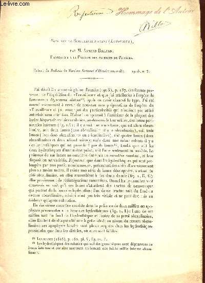 NOTE SUR LE SERTULARIA DISTANS (LAOUROUX) / EXTRAIT DU BULLETIN DU MUSEUM NATIONAL D'HISTOIRE NATURELLE - N2 - 1925.