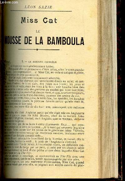 MISS CAT LE MOUSSE DE LA BAMBOULA