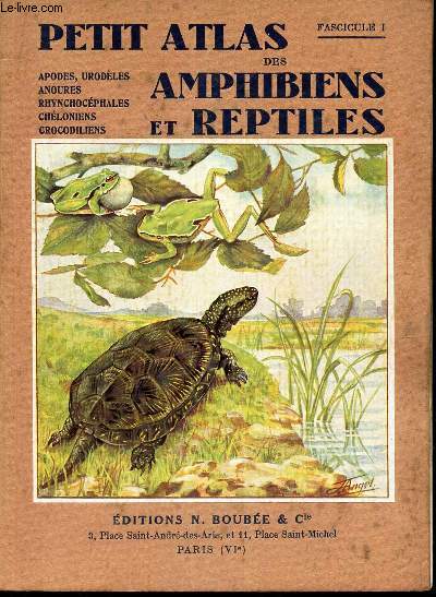 PETIT ATLAS DES AMPHIBIENS ET REPTILES - I : apodes, urodeles, anoures, rhynchocephales, cheloniens, crocodiliens.