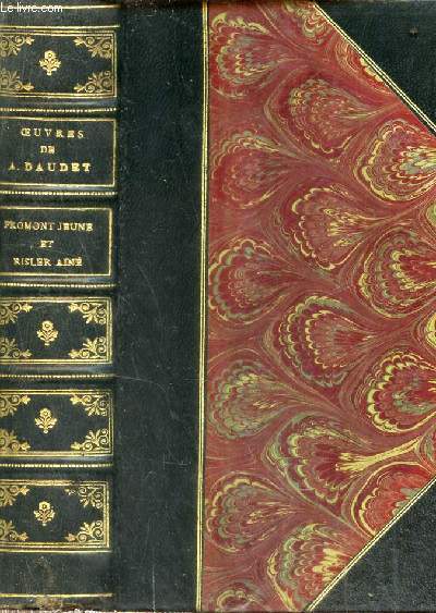 Oeuvres de Alphonse Daudet - Fromont jeune et risler aine - moeurs parisiennes.