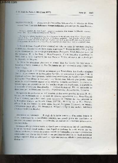 Dcouvete du Crocodilien Sebecus dans le Miocne du Prou oriental - Tir  part C.R.Acad.Sc.Paris t.284 2 mai 1977 srie D 1663.
