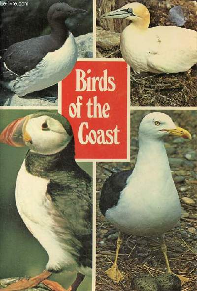 Birds of the Coast - Sea Birds - Jarrold Bird Series Book 2.