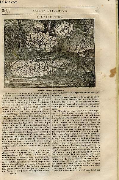 LE MAGASIN PITTORESQUE - Livraison n036 - le lotus gyptien.
