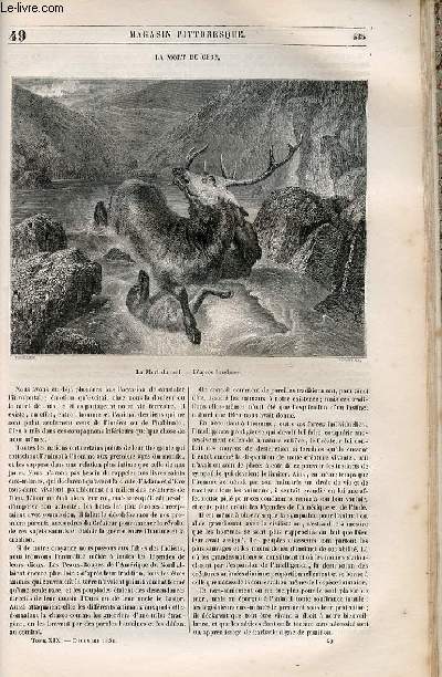 LE MAGASIN PITTORESQUE - Livraison n049 - La mort du cerf.