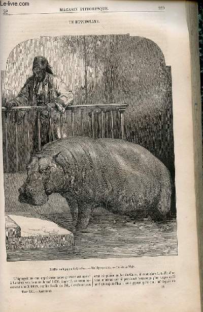 LE MAGASIN PITTORESQUE - Livraison n032 - Un hippopotame.