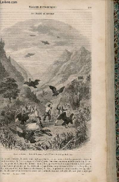 LE MAGASIN PITTORESQUE - Livraison n036 - La chasse au condor.