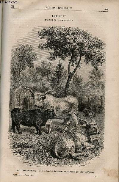 LE MAGASIN PITTORESQUE - Livraison n027 - Race bovine hongroise et de west-highland.