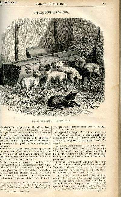 LE MAGASIN PITTORESQUE - Livraison n13 - Biberons pour les agneaux.