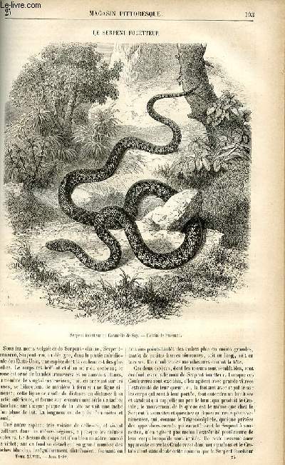 LE MAGASIN PITTORESQUE - Livraison n25 - Le serpent fouetteur.