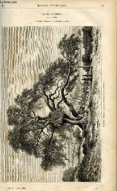 LE MAGASIN PITTORESQUE - Livraison n12 - Arbres clbres - l'arbre d'Abraham  Mamr.