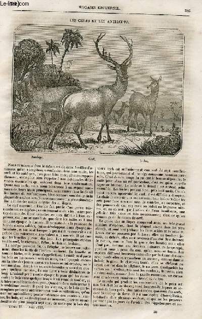 Le magasin universel - tome second - Livraison n39 - Les cerfs et les antilopes.