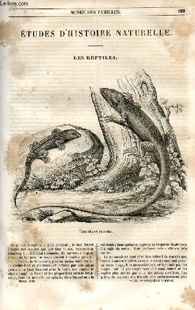 Le muse des familles - lecture du soir - 1re srie - livraisons n22 et 23 - Etudes d'histoire naturelle - Les reptiles par Alphonse Guichenot.