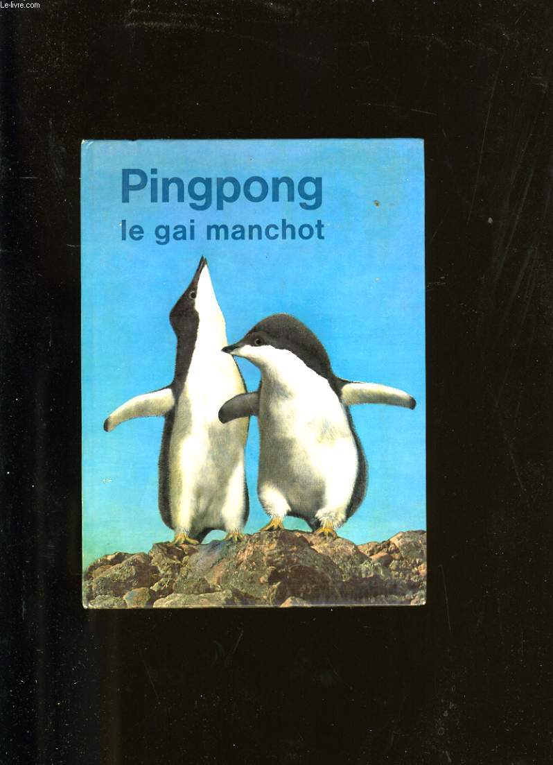 PINGPONG. LE GAI MANCHOT.