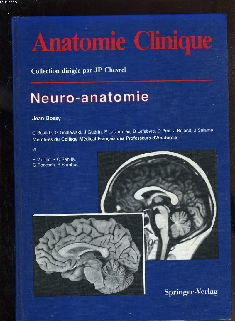 ANATOMIE CLINIQUE - NEURO ANATOMIE